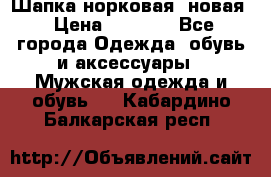 Шапка норковая, новая › Цена ­ 5 000 - Все города Одежда, обувь и аксессуары » Мужская одежда и обувь   . Кабардино-Балкарская респ.